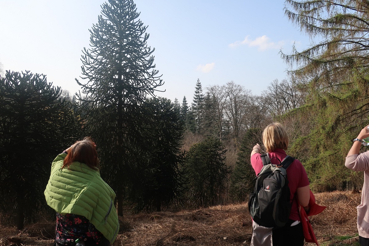 Wandern6